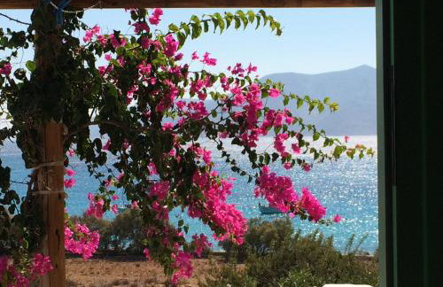 Apollon Koufonisia Studios - Photo 6