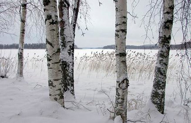 Kopinkallio 3 - Foto 18