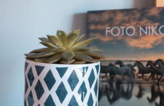 OceanSide Matosinhos - EcoHost - Foto 7