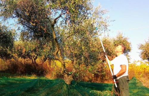 Agriturismo Alla Vecchia Quercia - Foto 71