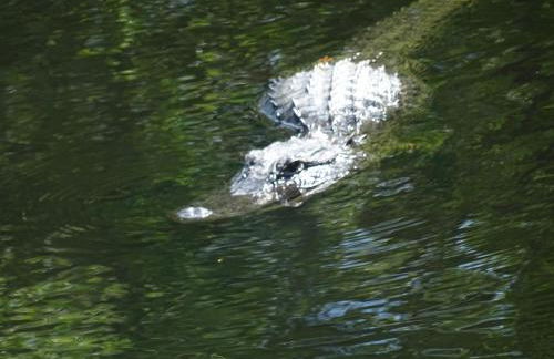 Villa Eyleen - Foto 48