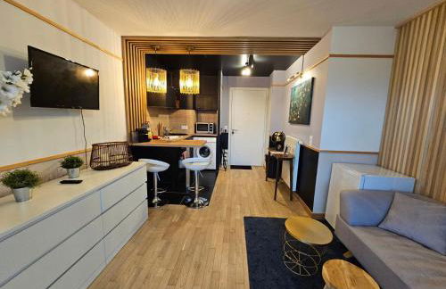 Biron deluxe studio flea market of Paris, porte de Montmartre - Foto 7