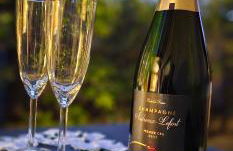 T2 Chambre Miroir jardin et parking privé Marseille - Foto 18