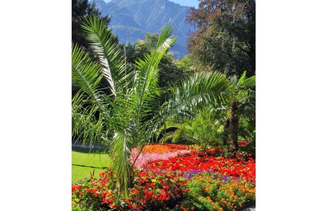 Salzburg Comfortable Holiday Residence - Photo 15