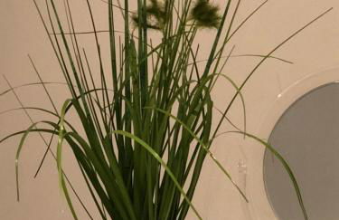 Ferien im Bomlitztal - Foto 24