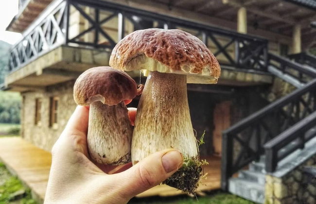 Beautiful Large Villa in Tylmanowa - Photo 25