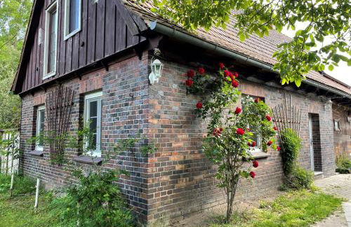 Lehdsche Heubuchten - Foto 67