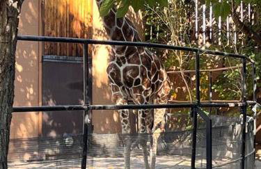 Saguaro at Cactus Flower-HOT TUB-Pet Friendly-No Pet Fees! - Foto 56