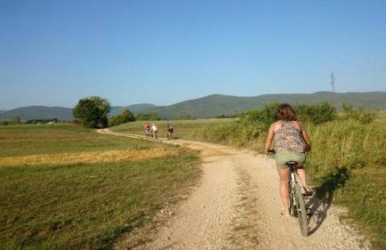 Holiday Home Sinac - Foto 30