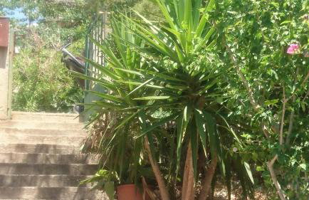 Apartment Adam - Foto 62