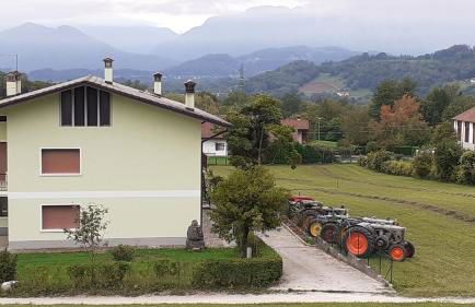 Colori nel parco - Foto 18