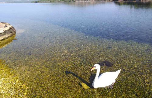 Villa Grandeza - Photo 43