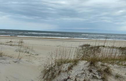 Shores Heaven - Foto 7