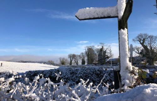 SANDYVIEWS - Foto 31