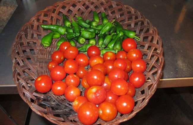 Casa do Cribeiro - Photo 38