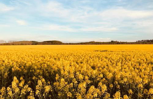 Ferienwohnung am Harz - Foto 35