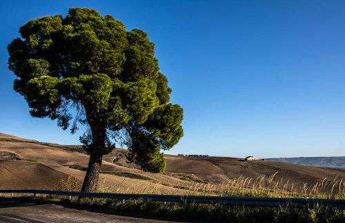 Vintage House in centro storico Basilicata Puglia - Foto 41