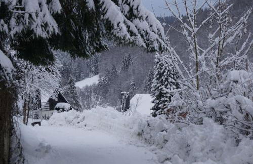Das-Urlaubszuhause-fuer-Familien-Grossfamilien-Mehrfamilien-und-kleine-Gruppen-bis-zum-12-Personen-mit-vielen-Unterhaltungsmoeglichkeiten-im-Harz - Foto 52