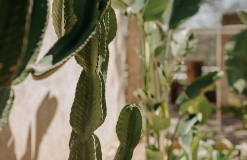 Llampí, Naturaleza, piscina y encanto mallorquín - Foto 46