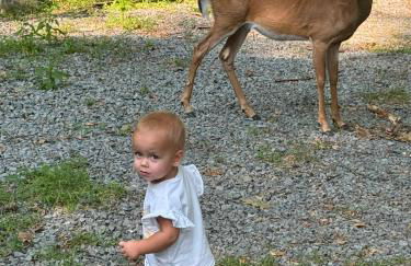 The Flying Dutchman Cottage in amenities filled Masthope community Ski Big Bear - Foto 37