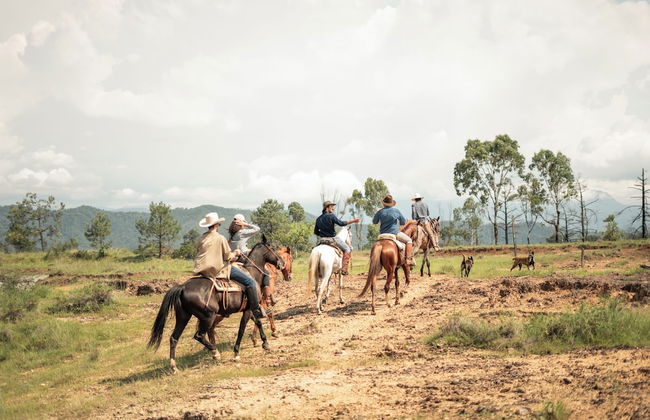Rancho con Caballos El Reencuentro - Foto 54