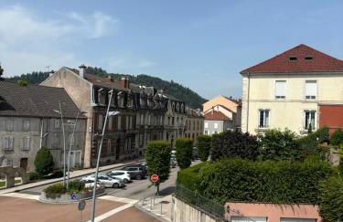 Le toit des Vosges demeure Historique Appartement neuf et climatisé - Foto 10