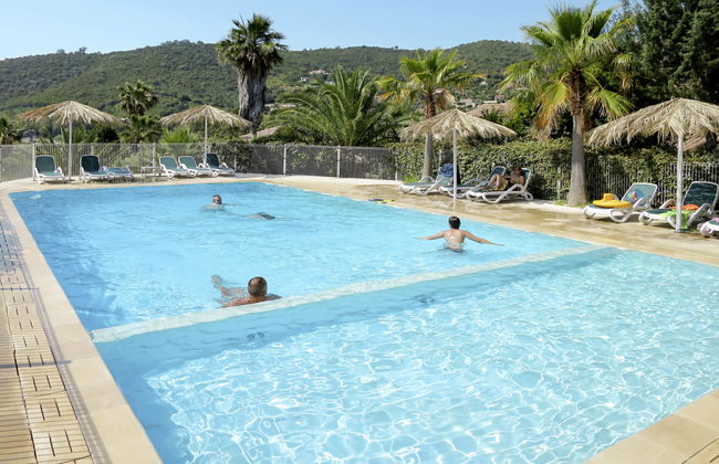 Stella di Mare - Foto 28