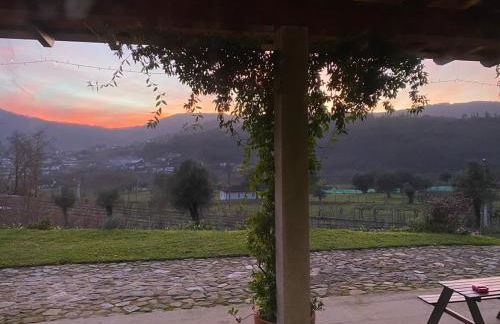 Quinta da Aranha - Foto 51