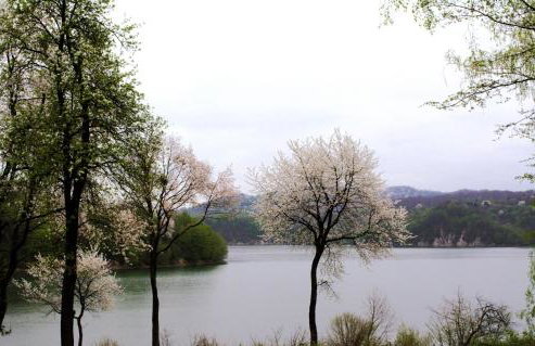 Brama Sanu - z prywatną linią brzegową Jeziora Solińskiego - pomosty - pontony - basen sezonowy - Foto 44