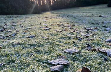 Lovely Carlung House - Foto 31