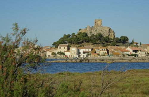 Domaine du Petit Tournebelle - Foto 48