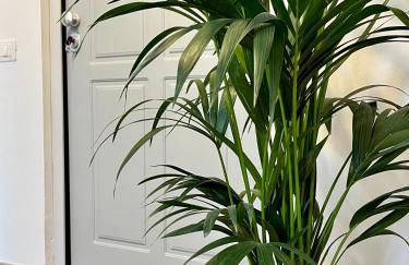 San Martino Holiday Apartments - Foto 11