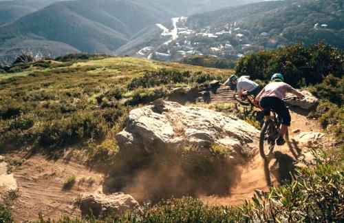 Cape Cottage - Photo 24