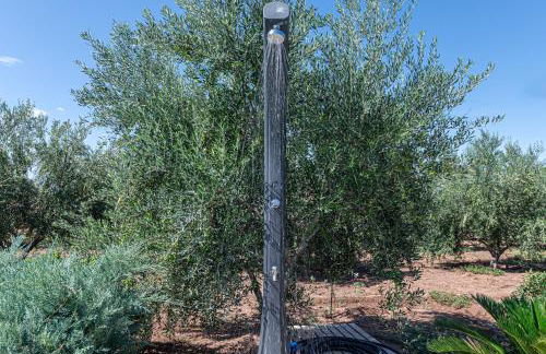 Irissa Suites - Foto 48