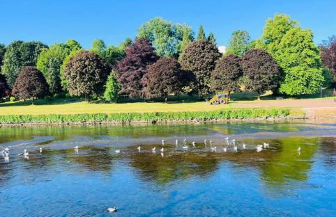 Stunning Period Townhouse with Garden, Walking Distance to Town - Photo 64