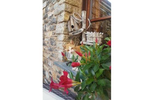 Agriturismo Dinoabbo Oleandri - Photo 16