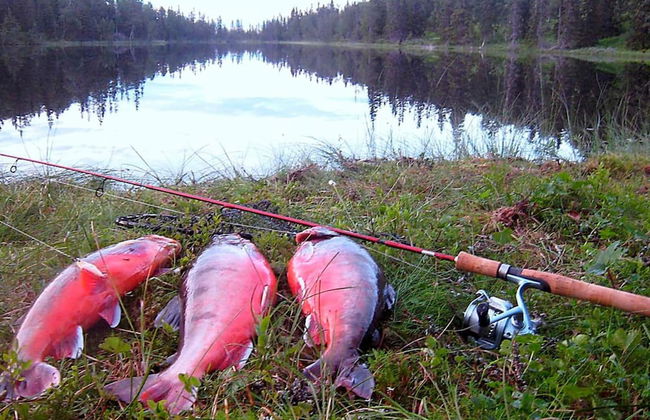 6 Person Holiday Home in Nordli-by Traum - Foto 33