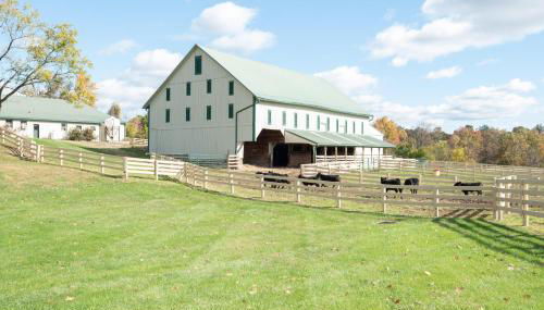 Cozy Cow Homestead with pool! - Foto 2