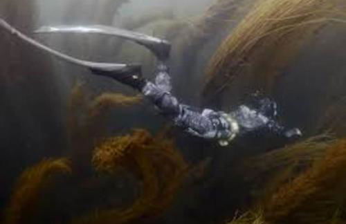 Gîte entre Mer et Abers - Foto 36