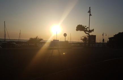 Gîte 2 à 4 pers Les Pommes de Pin Les Mathes La Palmyre proche zoo et plages - Photo 27