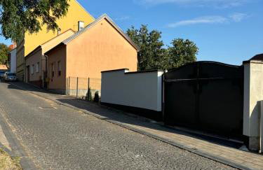 Vila Galerija - Foto 39