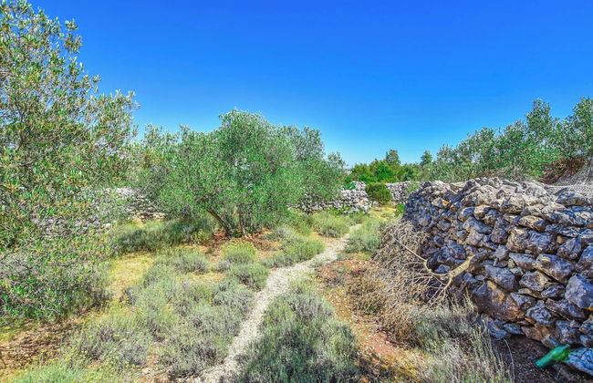 House Volak - Foto 69