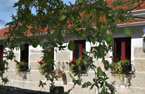 Quinta da Quinta - Foto 8