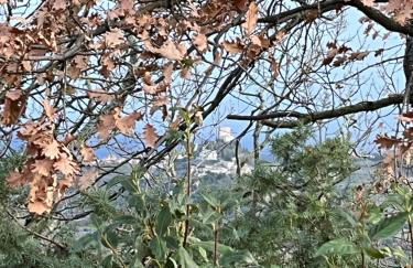 Agriturismo Le Querciole in Val d'Orcia - Foto 26