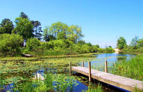 Rustic Cabin Rental on a Wildlife Sanctuary in Manistee, Michigan - Foto 8