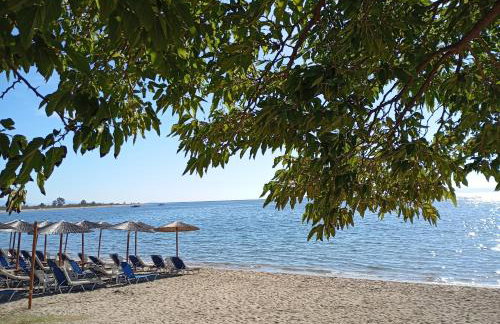 Elia by the sea - Photo 8