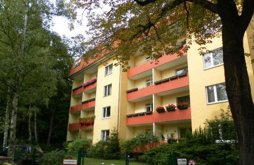 Central Apartments - Photo 13