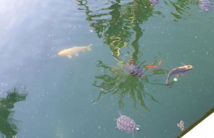 Golf Coast Los Alamos, Primera Linea de Playa - Foto 46