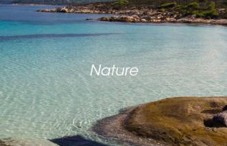 Dilean luxury villa - Photo 39