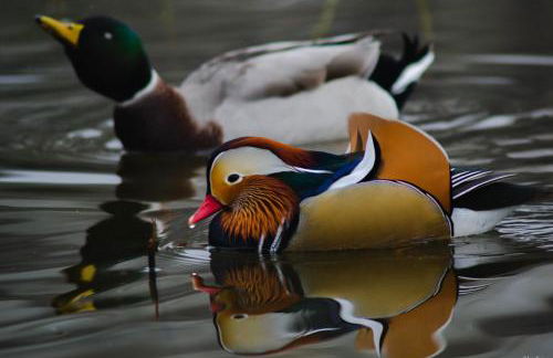 Pietra Cavalla - Ranch & Resort - Foto 42